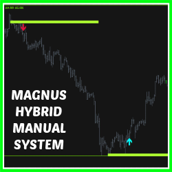 MAGNUS HYBRID MANUAL SYSTEM